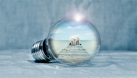 賽為安全 (33).jpg 賽為安全 (33).jpg